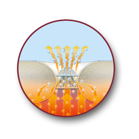 Daunendecke Climabalance- Wirkprinzip- 1